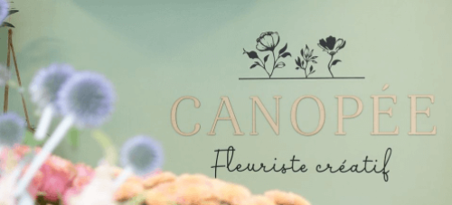 canopee-q50bw61fqqhj5y1wj9s6xfk4nnijzqkjg8pbc1pj32